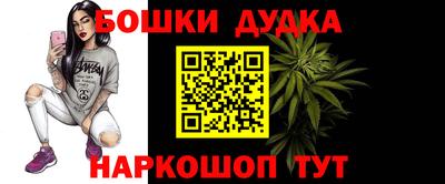 гашик Будённовск