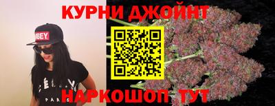 гашик Будённовск