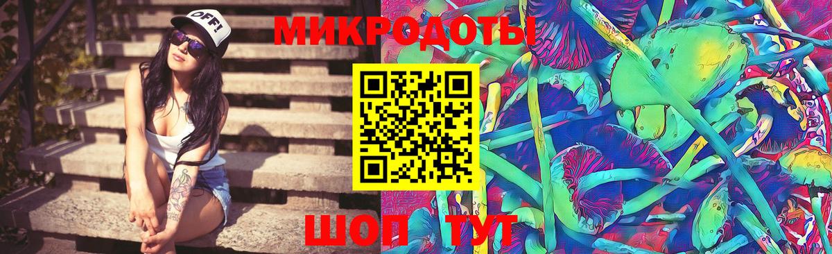 купить   Вход с VPN  Вологда  Галлюциногенные грибы Psilocybe  Галлюциногенные грибы Magic Shrooms 